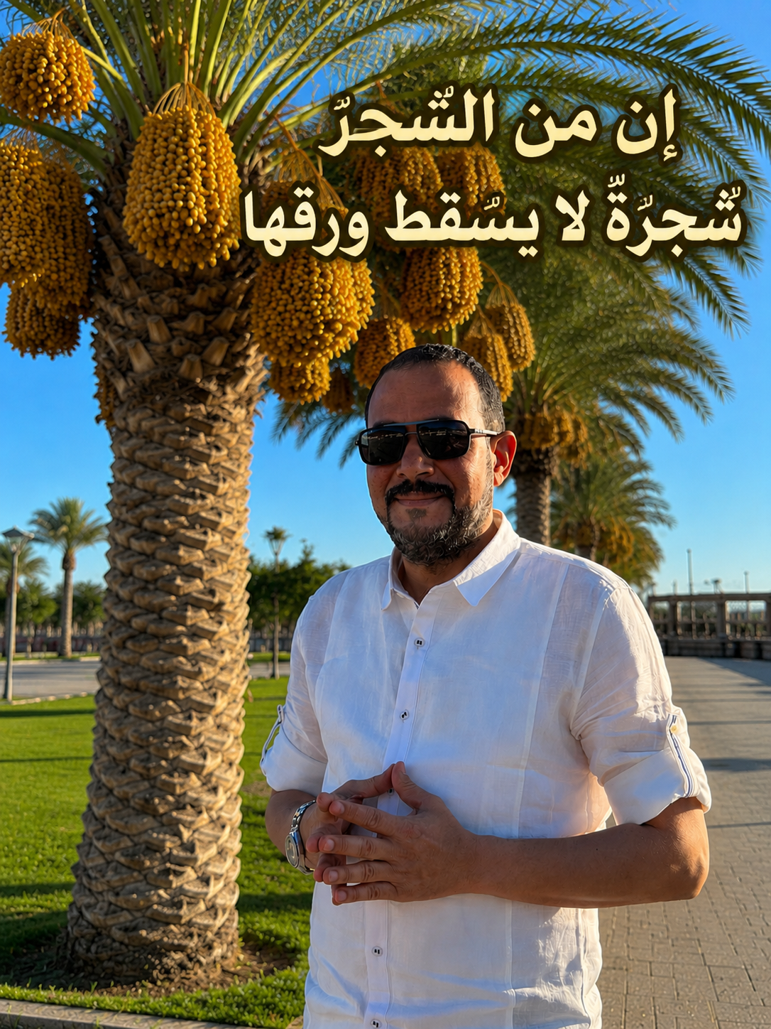 الدكتور حاتم جاد/ إن من الشجر شجرةٌ لا يسقط ورقها